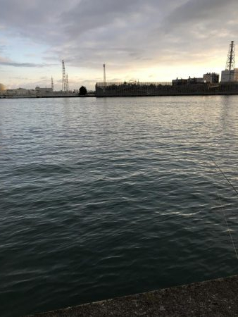 早朝から人だらけ