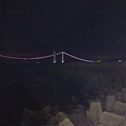 アジのリクエスト