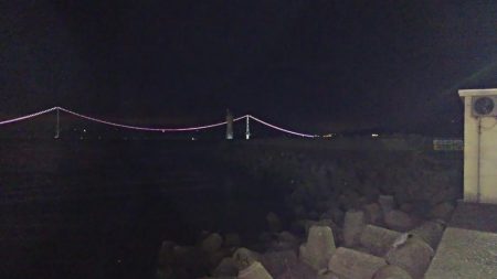 アジのリクエスト