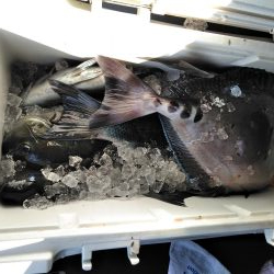 フカセが一番・・面白いです・・