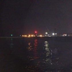 スローフィッシング