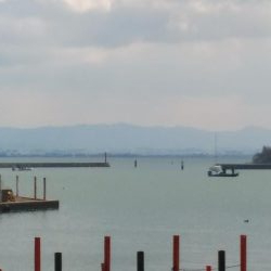 まずまずサイズ