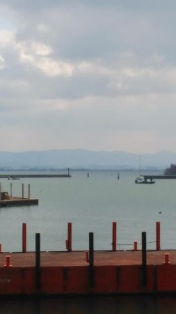 まずまずサイズ