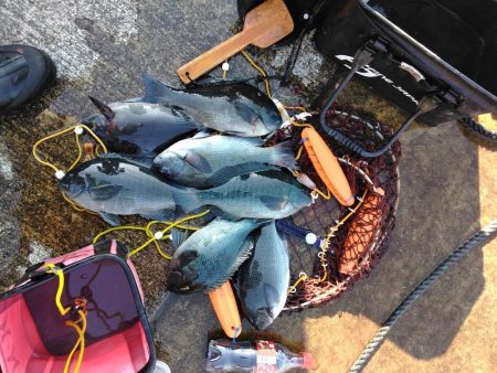 フカセが一番・・面白いです・・