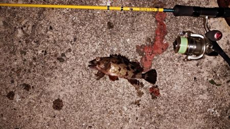 タフコンディション