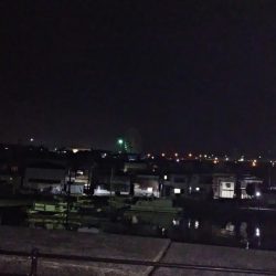 初　淡路メバリング