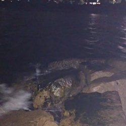 本日も修行なり