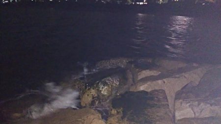 本日も修行なり