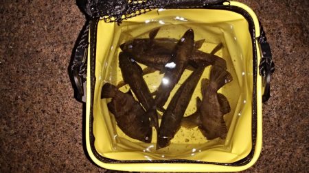 ベタ凪はしんどい