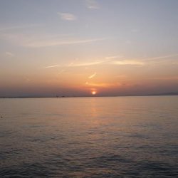 あなぁ～～～ご