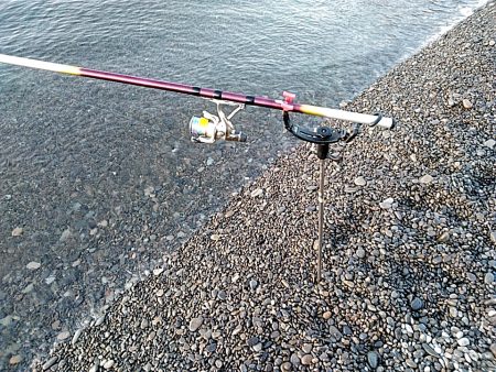 久しぶりのアオリイカでした！！