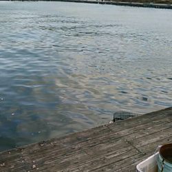 久し振り海洋釣堀でファミリーフィッシング