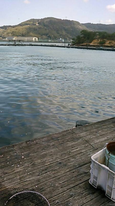 久し振り海洋釣堀でファミリーフィッシング