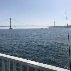 ハリス太めで正解