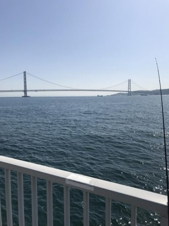 ハリス太めで正解