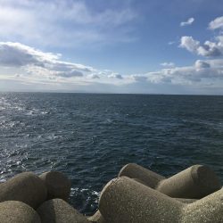 厳寒期は餌を楽しむ