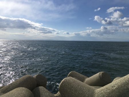 厳寒期は餌を楽しむ