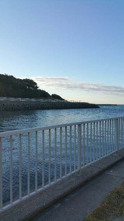 チーバスでも釣れれば面白い