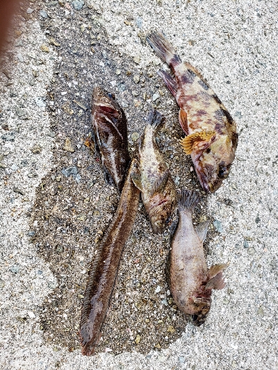 昼間はぽかぽか