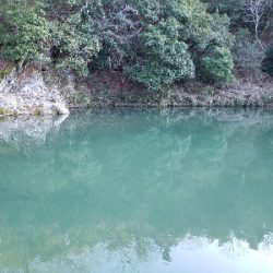 北田原マス釣場へgo