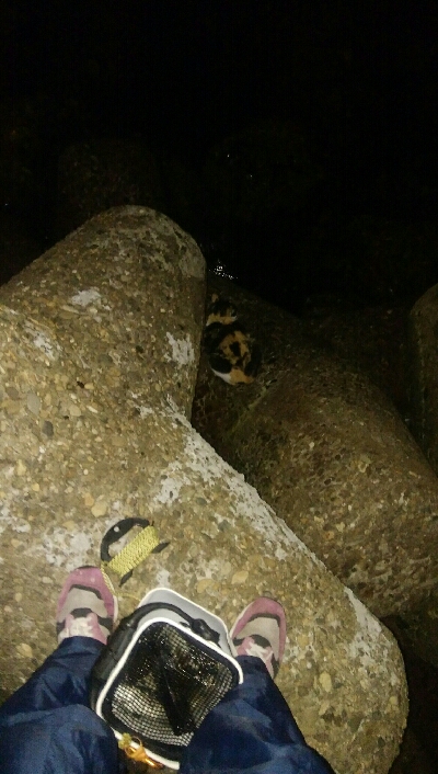 チョイ渋メバルプラッギング