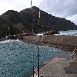 シーバスGETだぜ!