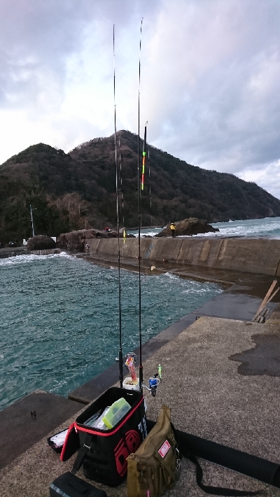 シーバスGETだぜ！