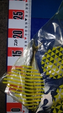 メバルは釣れます