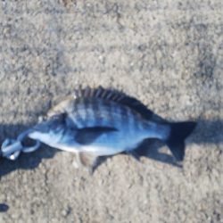 サイズアップが欲しいところ