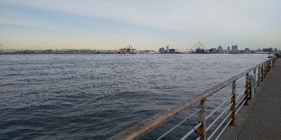 サビキでサクっと