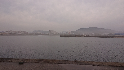 久しぶりの淡路島釣行