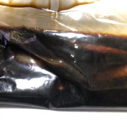 ヒイカエギング