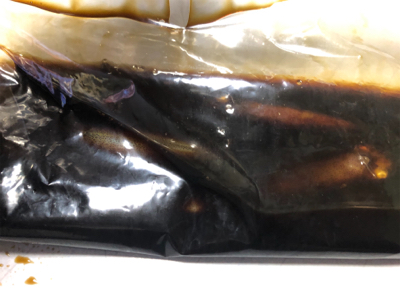 ヒイカエギング