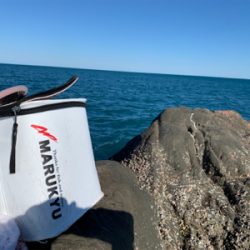 四万十市 沖磯 フカセ釣り