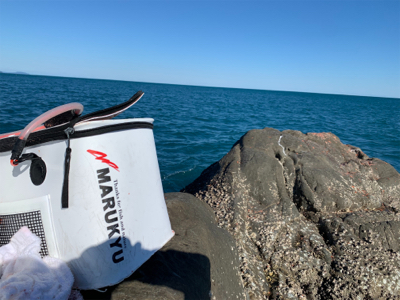 四万十市 沖磯 フカセ釣り