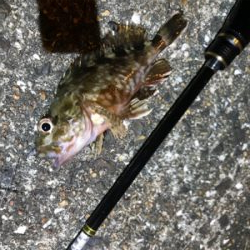 newロッドテスト釣行