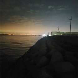 ガシラは裏切らない