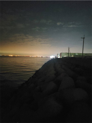 ガシラは裏切らない