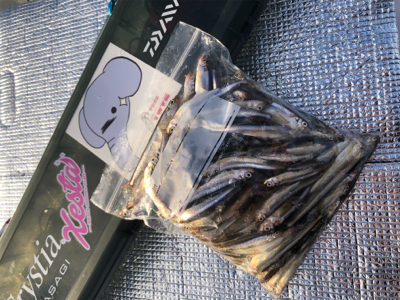 氷上わかさぎ初戦