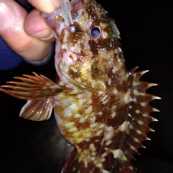 ナイトメバリング