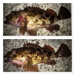 2020ライトゲーム第6戦