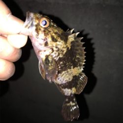 調子が良くなってきた!