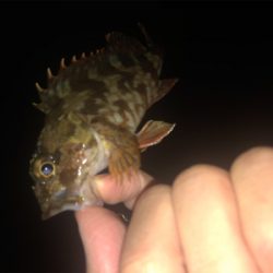 タフコンディション