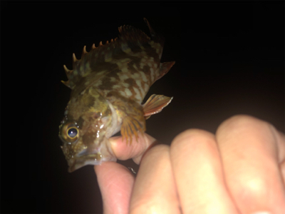 タフコンディション