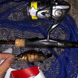 今年初釣りは久々のメバル！