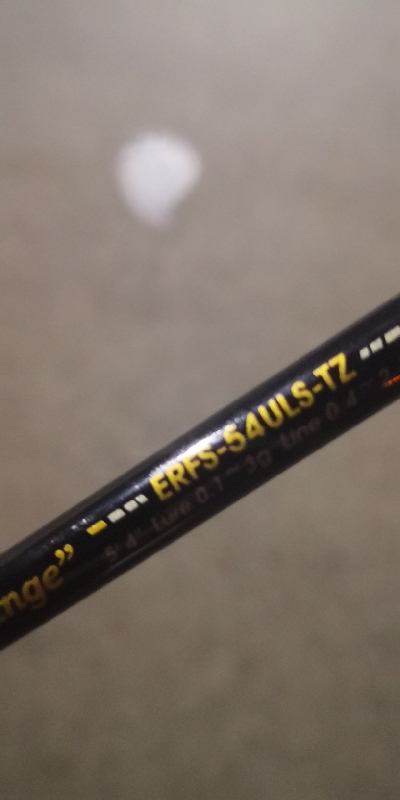 アジング練習 113  ERFS-54-ULS-TZ 鱗付け