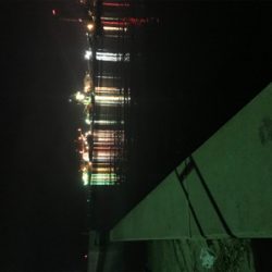 癒しのアジング(^｡^)