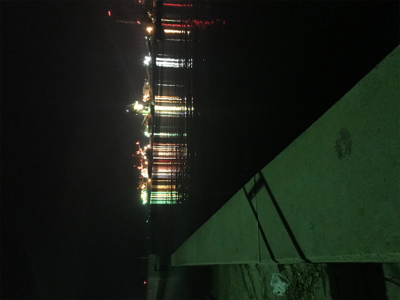 癒しのアジング(^｡^)