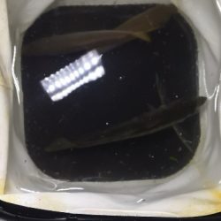 アジング練習 116