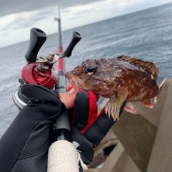 外道で大物ゲスト